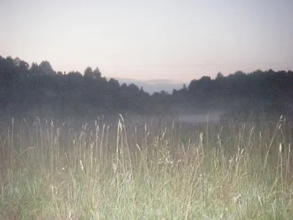 Як ми сплавлялися по річці мста