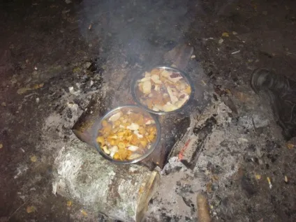 Як ми сплавлялися по річці мста