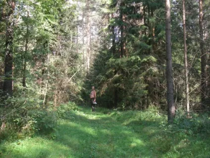 Як ми сплавлялися по річці мста