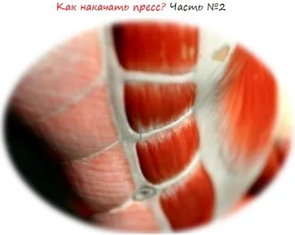 Як накачати прес частина №2 практика (прямого м'яза живота) Як накачати прес частина №2 практика