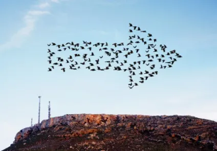 Як навести порядок в життя і з'їсти всю кашу в голові (порядок) Як навести порядок в життя і з'їсти всю кашу в голові