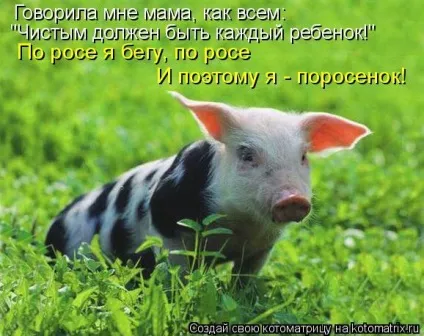 Як називається дитинча кабана, свині (дитинча) Як називається дитинча кабана, свині