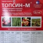 Як обрізати драцену в домашніх умовах для розгалуження або отримання бічних пагонів, а також щоб