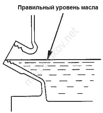 Яке масло заливати в мотоблок (яке масло заливати в двигун мотоблока) Яке масло заливати в мотоблок