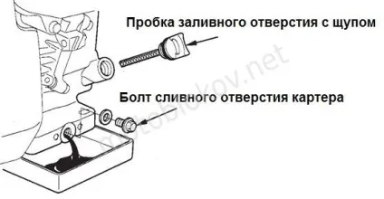 Яке масло заливати в мотоблок (яке масло заливати в мотоблок) Яке масло заливати в мотоблок