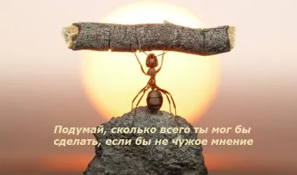 Як не залежати від чужої думки, притягнути чудо (залежати чужої думки) Як не залежати від чужої думки, притягнути диво