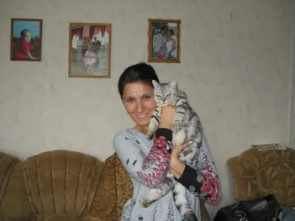 Як назвати розплідник кішок, рудий кіт (розплідник) Як назвати розплідник кішок, рудий кіт