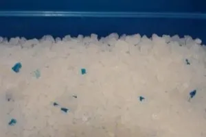 Який наповнювач для котячого туалету краще деревне, мінеральний, сілікагелевой або інший вид (туалету) Який наповнювач для котячого туалету краще деревне, мінеральний, сілікагелевой або інший вид