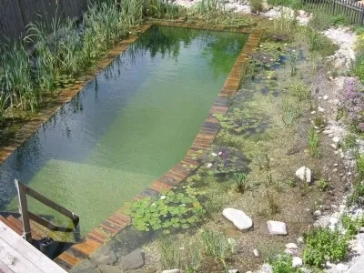 Який водойму вибрати - басейн або ставок, біля будинку (водойму) Який водойму вибрати - басейн або ставок, біля будинку
