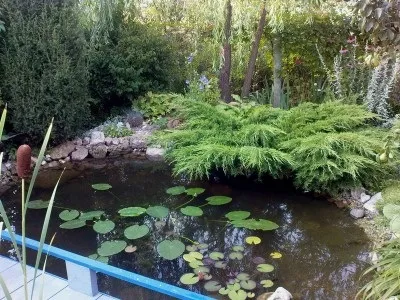 Який водойму вибрати - басейн або ставок, біля будинку (басейн) Який водойму вибрати - басейн або ставок, біля будинку
