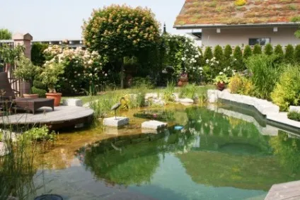 Який водойму вибрати - басейн або ставок, біля будинку (ставок) Який водойму вибрати - басейн або ставок, біля будинку