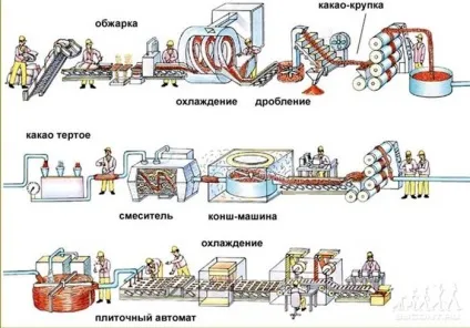 Як відкрити шоколадну крамницю (лавку) Як відкрити шоколадну крамницю