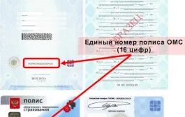 Як отримати страховий медичний поліс, мої документи (документи) Як отримати страховий медичний поліс, мої документи