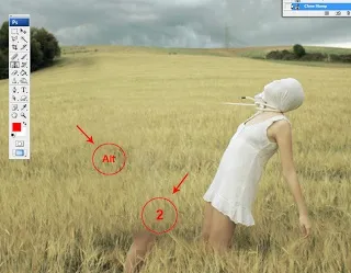 Як користуватися clone stamp tool healing brush tool