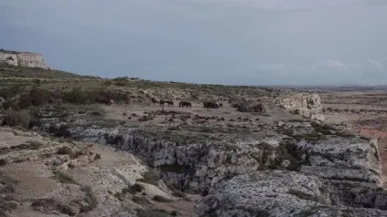 Як потрапити в королівську гавань (гавань) Як потрапити в королівську гавань