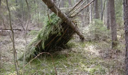 Як побудувати курінь для ночівлі в лісі, з чого почати (етапи робіт) Як побудувати курінь для ночівлі в лісі, з чого почати