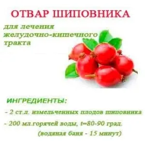 Як правильно заварювати шипшина (як правильно заварювати шипшина) Як правильно заварювати шипшина