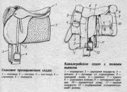 Як правильно сідлати коня (школи верхової їзди) Як правильно сідлати коня