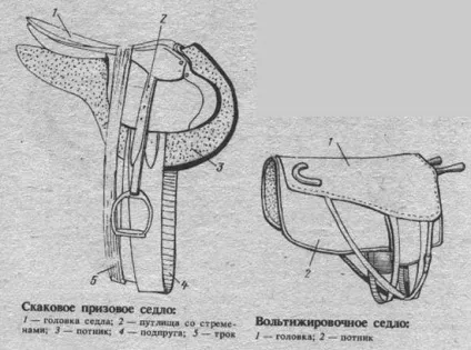 Як правильно сідлати коня (правильно) Як правильно сідлати коня