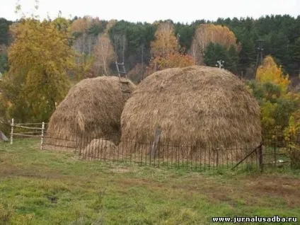 Як правильно скласти сіно в стіг або скирту на зиму - корисні поради (скирту) Як правильно скласти сіно в стіг або скирту на зиму - корисні поради