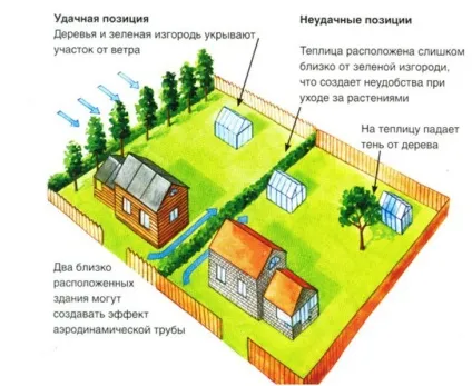 Як правильно встановити теплицю по сторонах світу - статті - мережеве видання «Уватским известия» (світла) Як правильно встановити теплицю по сторонах світу - статті - мережеве видання «Уватским известия»