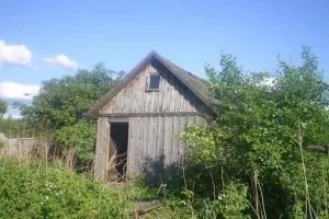 Як привести в порядок дачну ділянку, домовик (порядок) Як привести в порядок дачну ділянку, домовик