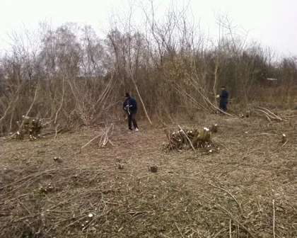 Як привести в порядок стару дачу