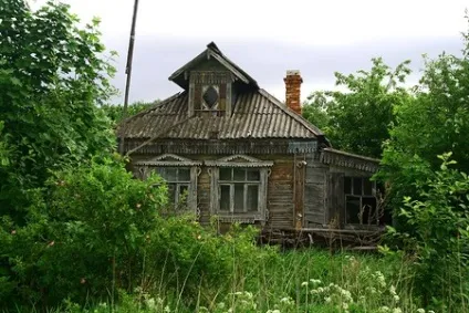 Як привести в порядок занедбану ділянку