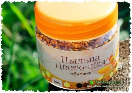 Як приймати бджолиний пилок правильно і скільки (приймати) Як приймати бджолиний пилок правильно і скільки