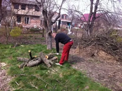 Як привести в порядок занедбану ділянку