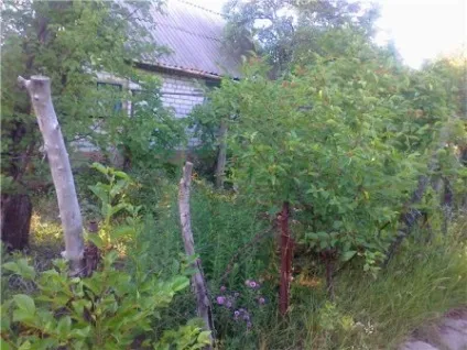 Як привести в порядок стару дачу