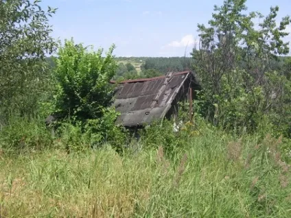 Як привести в порядок занедбану ділянку