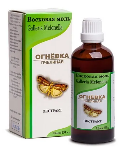 Як приймати воскову міль при туберкульозі (личинок воскової молі) Як приймати воскову міль при туберкульозі