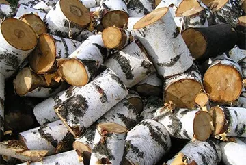 Як зробити деревне вугілля своїми руками способи виготовлення (зробити) Як зробити деревне вугілля своїми руками способи виготовлення
