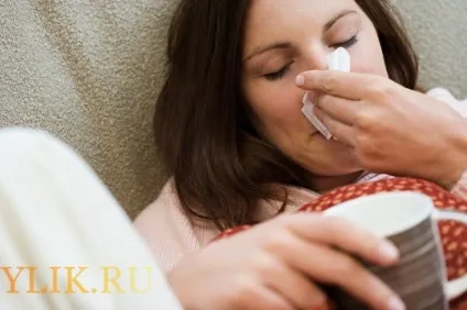 Як розчинити прополіс в маслі або меді поради та фото (розчинити) Як розчинити прополіс в маслі або меді поради та фото