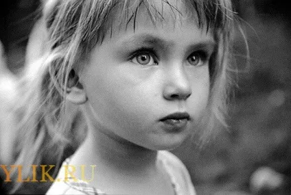 Як розчинити прополіс в маслі або меді поради та фото (олії) Як розчинити прополіс в маслі або меді поради та фото