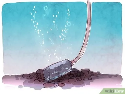 Як розводити дискус