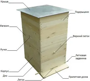 Як зробити вулик для бджіл своїми руками креслення, відео (вулик) Як зробити вулик для бджіл своїми руками креслення, відео