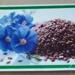 Як зшити костюм для фігурного катання (костюми фігурного катання) Як зшити костюм для фігурного катання