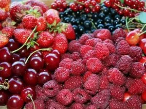 Як зварити і скільки варити заморожені ягоди рецепти приготування компоту з заморожених ягід (зварити) Як зварити і скільки варити заморожені ягоди рецепти приготування компоту з заморожених ягід