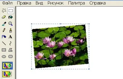 Як створити колаж в paint (колаж) Як створити колаж в paint