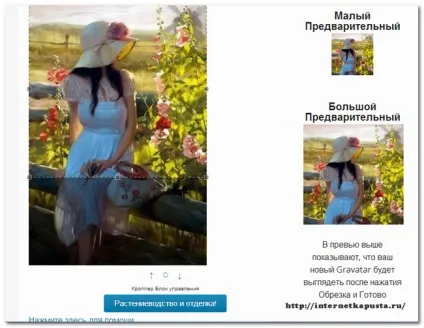 Як створити граватар (gravatar) в wordpress будь унікальним в мережі, інтернет капуста (wordpress) Як створити граватар (gravatar) в wordpress будь унікальним в мережі, інтернет капуста