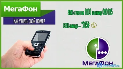 Як дізнатися свій номер мегафон - 7 способів (дізнатися) Як дізнатися свій номер мегафон - 7 способів