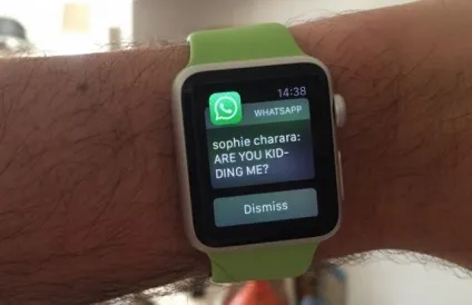 Як встановити месенджер whatsapp на apple watch повідомлення в повідомленнях в whatsapp на iwatch