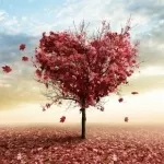 Як вести себе, коли приходиш до відділу кадрів, якщо влаштовують на роботу по блату робота, кар'єра (блату) Як вести себе, коли приходиш до відділу кадрів, якщо влаштовують на роботу по блату робота, кар'єра