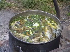 Як варити юшку, будинки, рецепти просту, бурлацьку, прозору, з річкової риби (крупно нарізану картоплю) Як варити юшку, будинки, рецепти просту, бурлацьку, прозору, з річкової риби