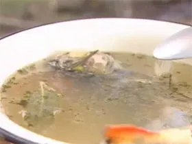 Як варити юшку, будинки, рецепти просту, бурлацьку, прозору, з річкової риби (риби) Як варити юшку, будинки, рецепти просту, бурлацьку, прозору, з річкової риби