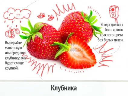 Як вибрати свіжі і смачні овочі (смачні) Як вибрати свіжі і смачні овочі