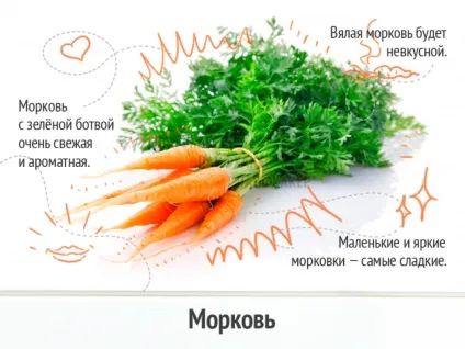 Як вибрати свіжі і смачні овочі (смачні) Як вибрати свіжі і смачні овочі