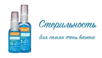 Як виростити орхідею з насіння в домашніх умовах (орхідею) Як виростити орхідею з насіння в домашніх умовах
